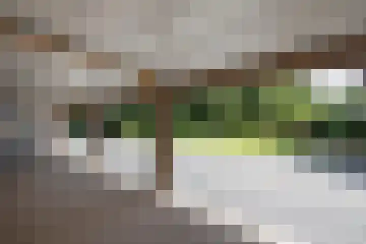 Denekamperweg 125 Vasse thumbnail 17