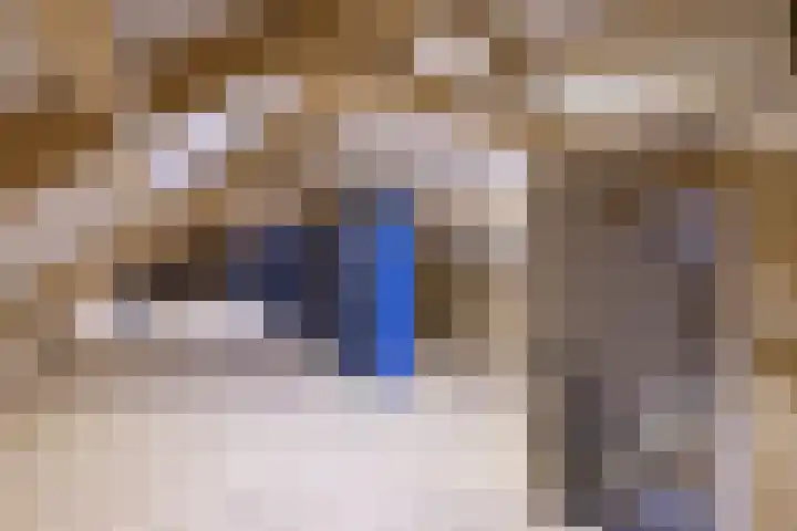 Denekamperweg 125 Vasse thumbnail 20