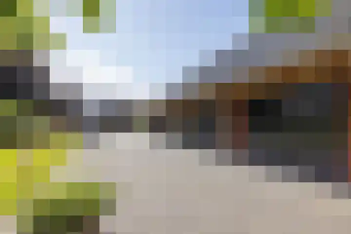 Denekamperweg 125 Vasse thumbnail 21