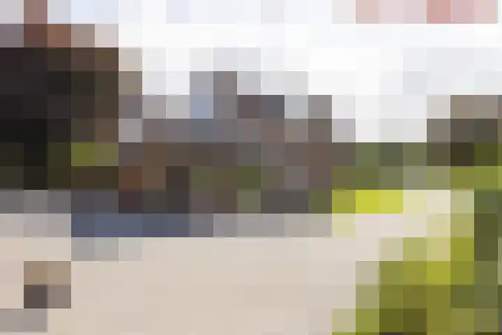 Denekamperweg 125 Vasse thumbnail 22