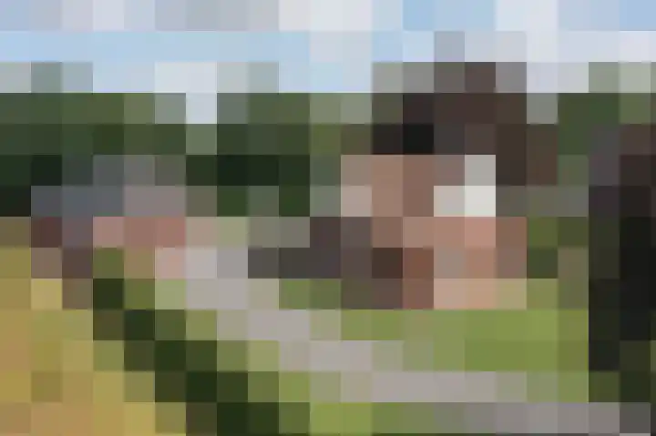 Denekamperweg 125 Vasse thumbnail 23