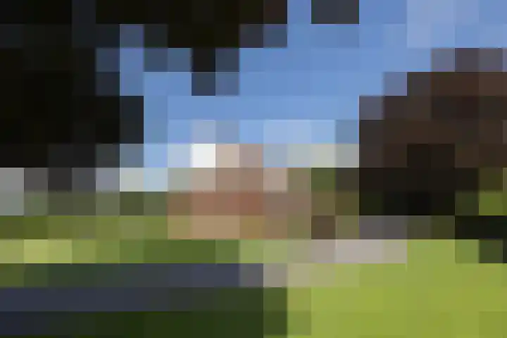 Denekamperweg 125 Vasse thumbnail 24