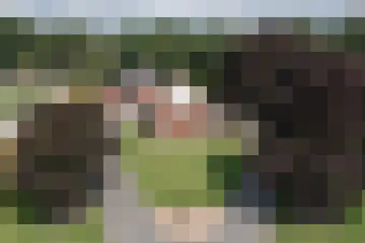 Denekamperweg 125 Vasse thumbnail 25