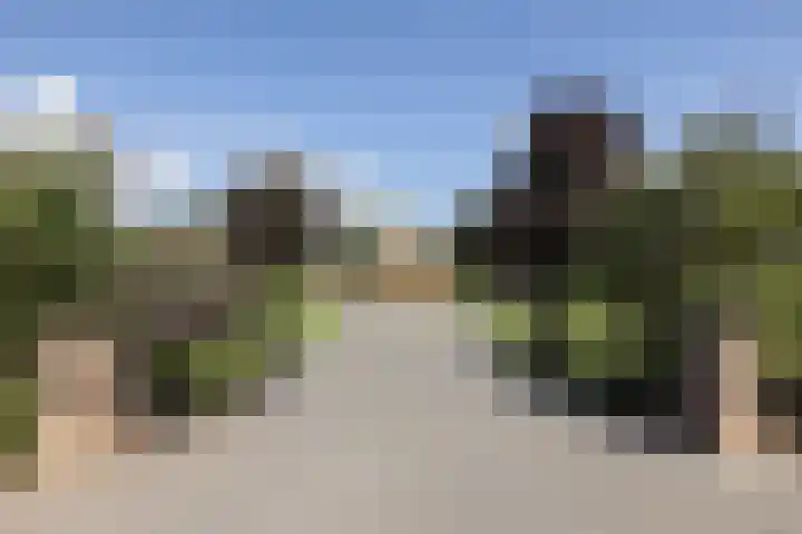 Denekamperweg 125 Vasse thumbnail 29