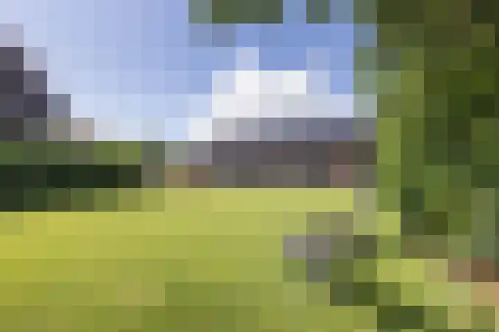 Denekamperweg 125 Vasse thumbnail 4