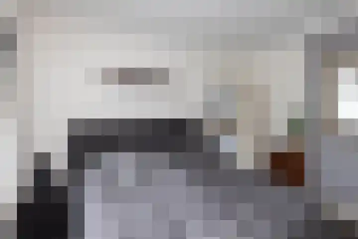 Denekamperweg 125 Vasse thumbnail 8