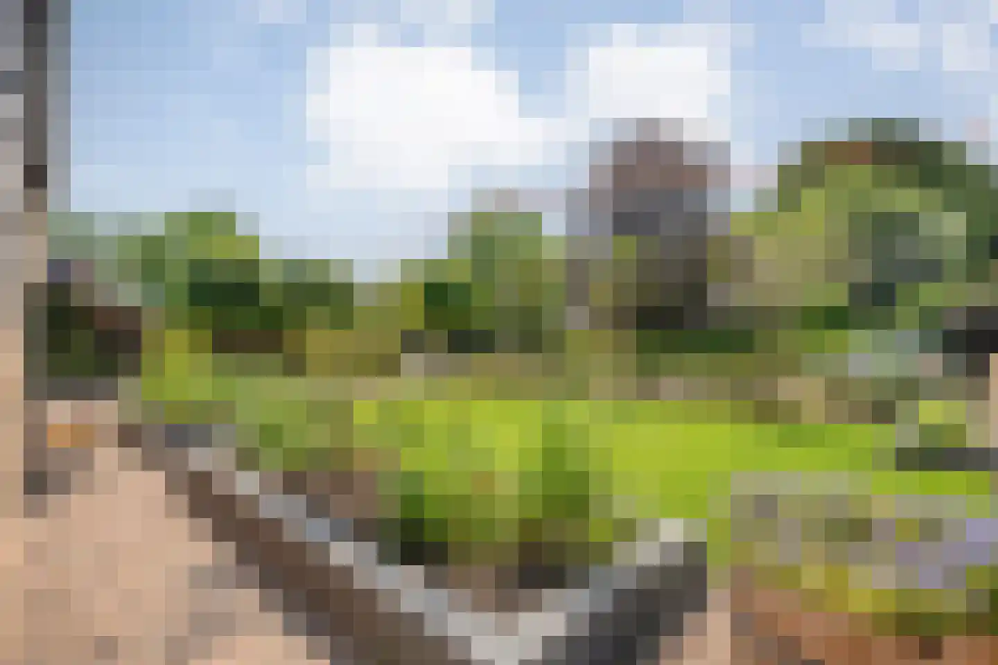 Denekamperweg 139 Vasse thumbnail 25