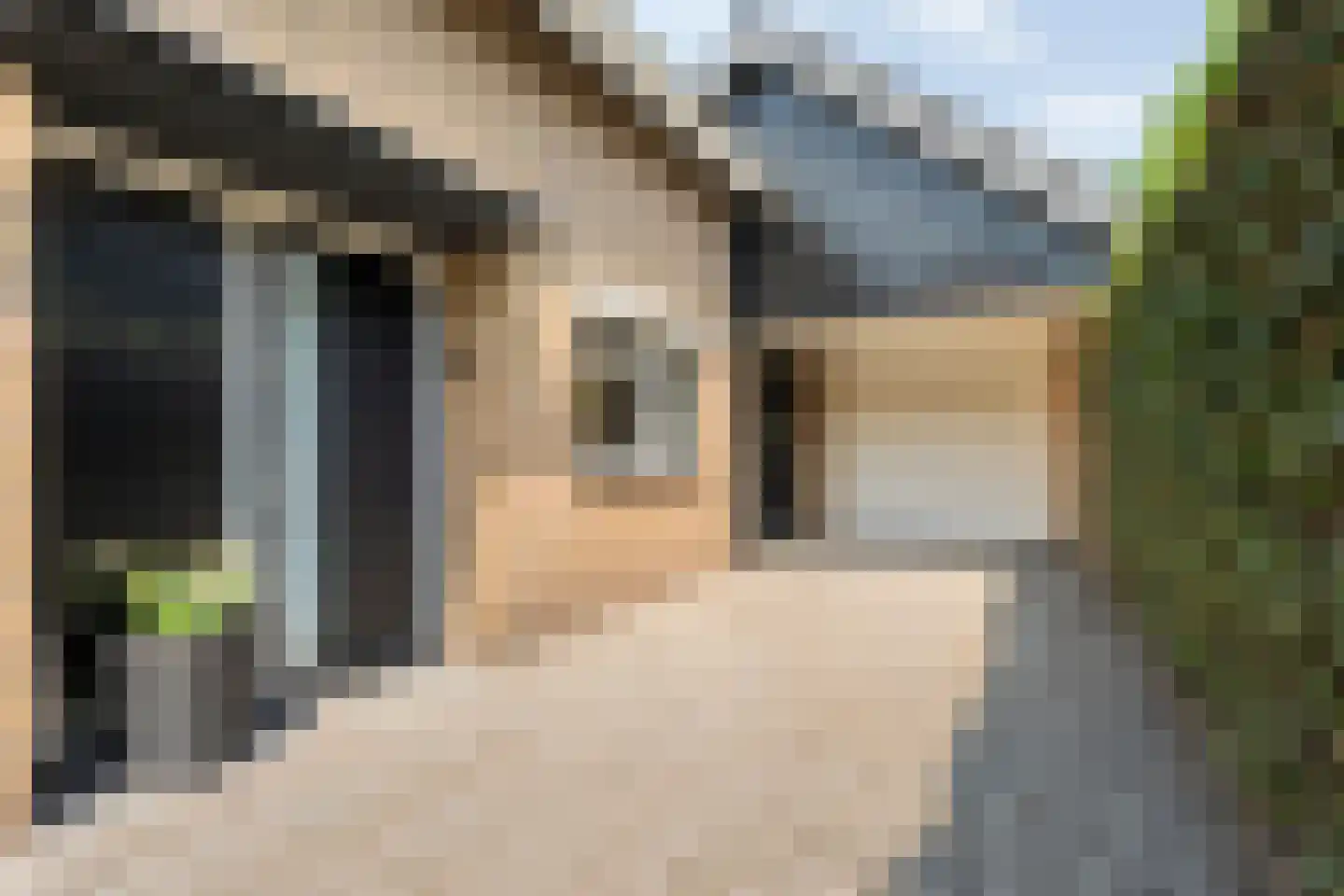 Denekamperweg 139 Vasse thumbnail 27