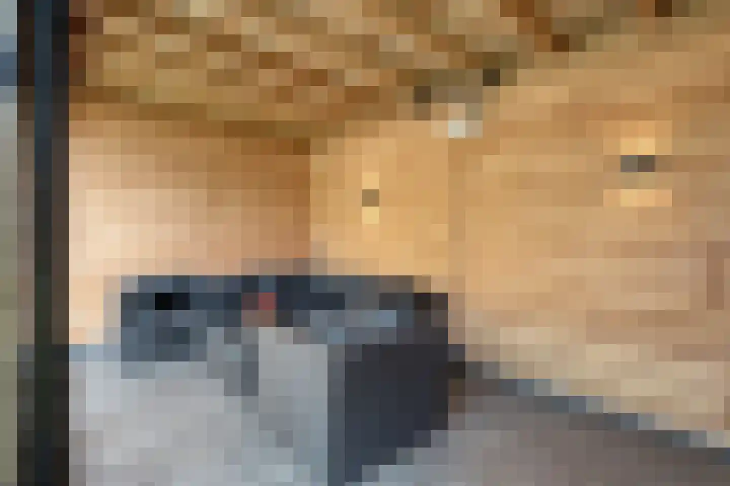 Denekamperweg 139 Vasse thumbnail 38