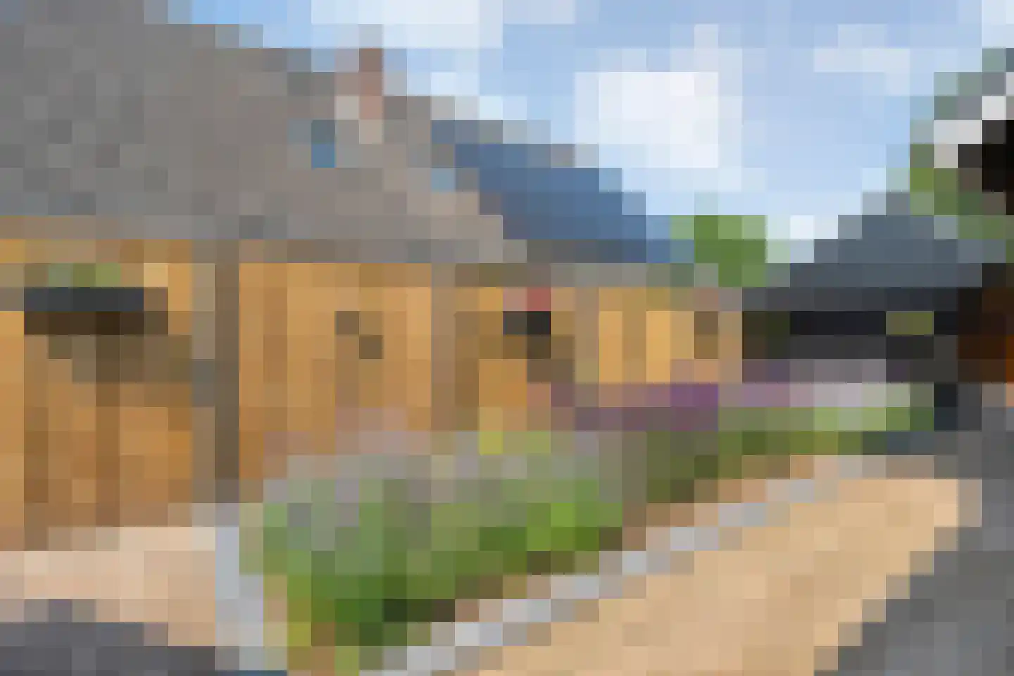 Denekamperweg 139 Vasse thumbnail 40