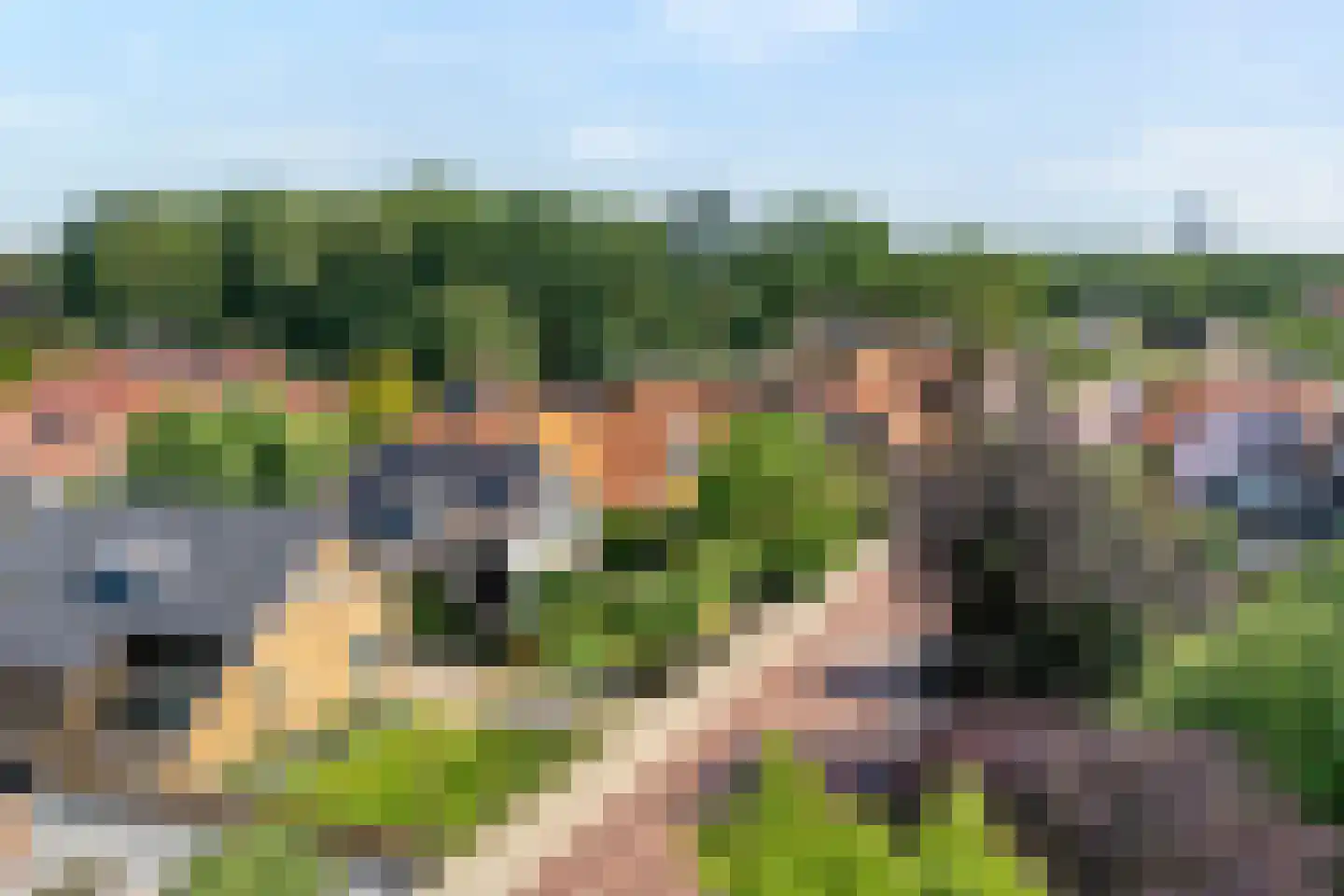 Denekamperweg 139 Vasse thumbnail 42