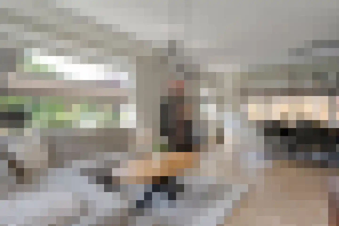 Denekamperweg 139 Vasse thumbnail 6