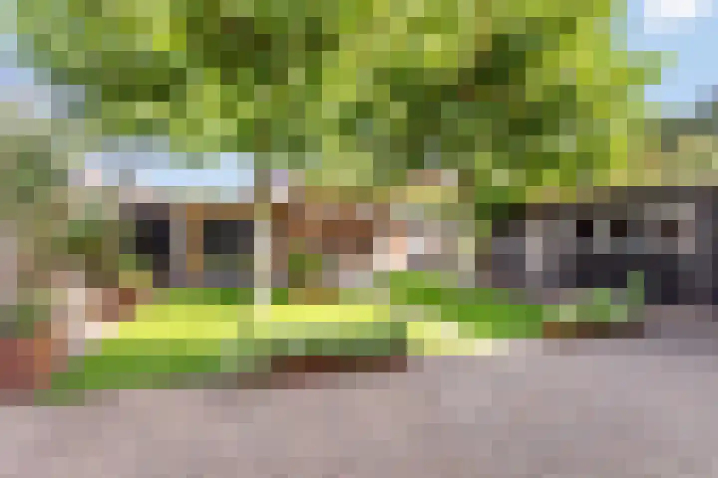 Denekamperweg 141 Vasse thumbnail 20