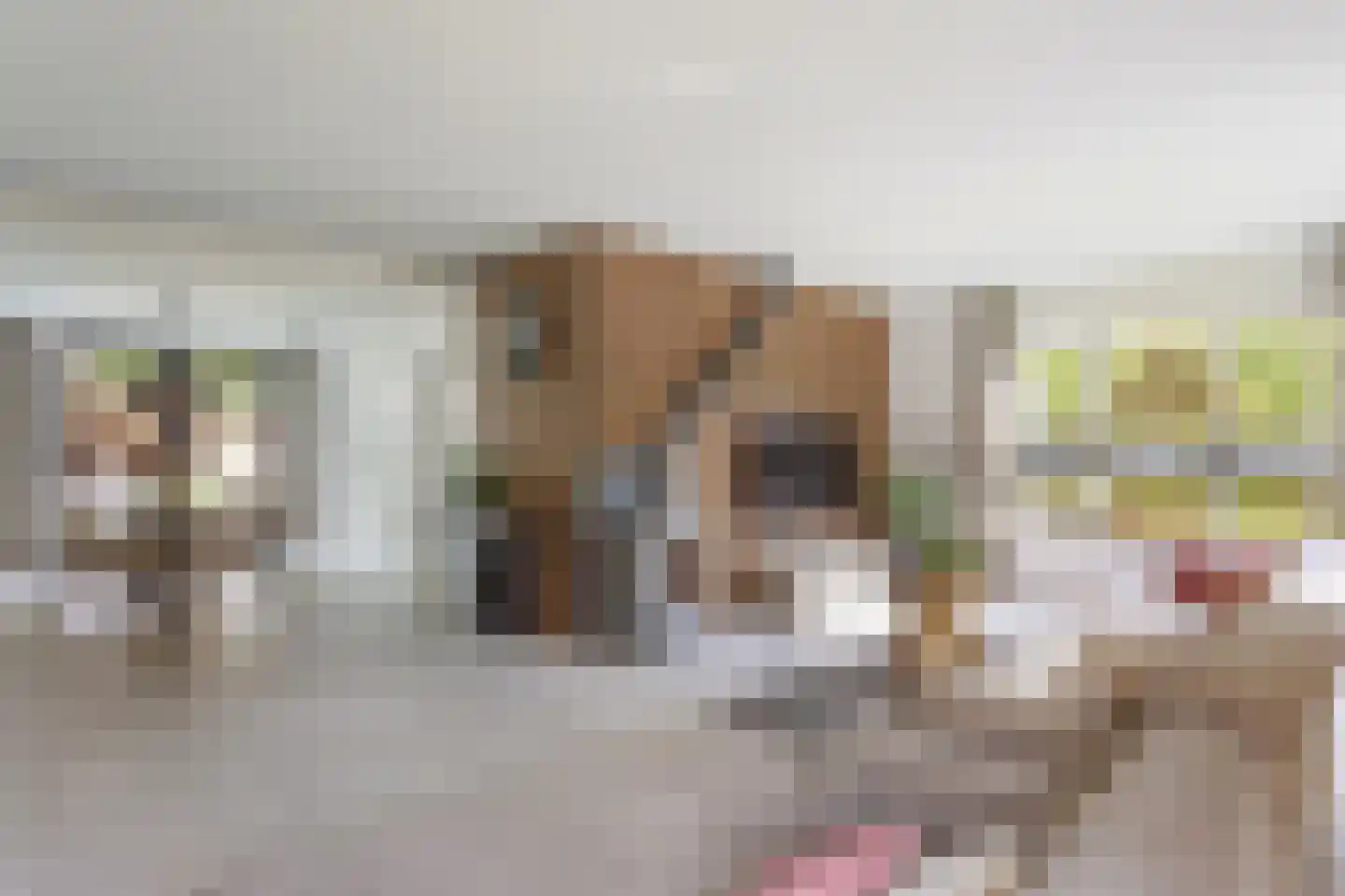 Denekamperweg 141 Vasse thumbnail 9