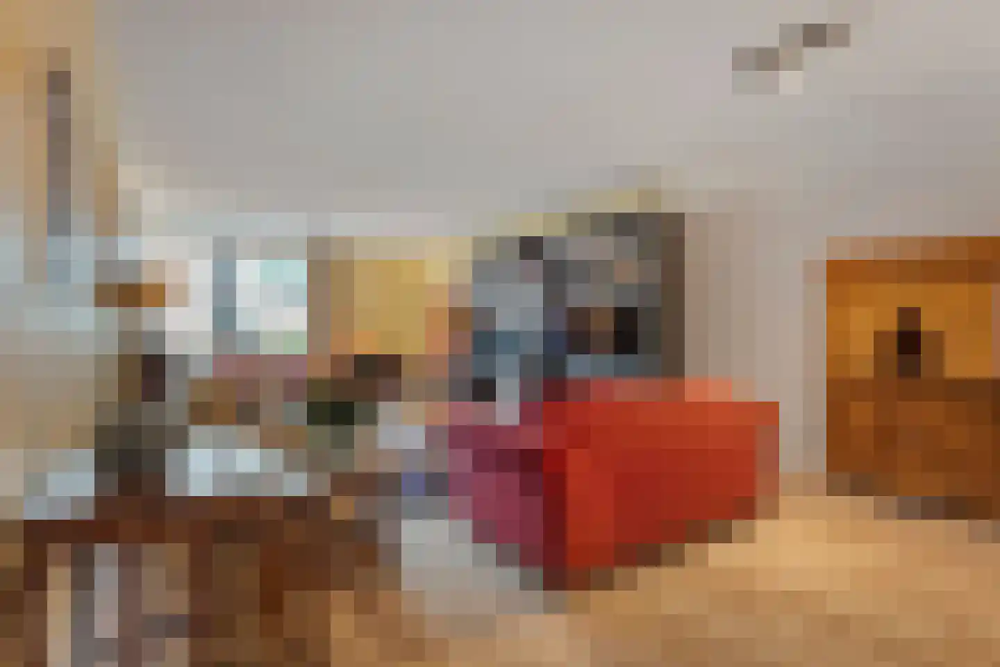Denekamperweg 212 Vasse thumbnail 10