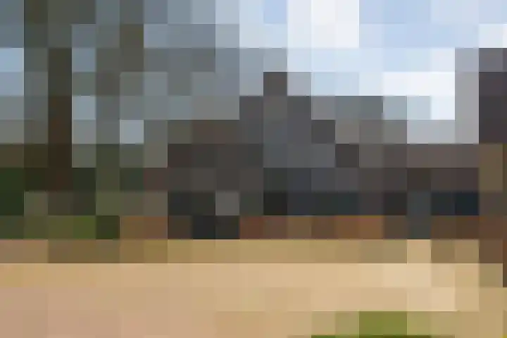 Denekamperweg 212 Vasse thumbnail 17