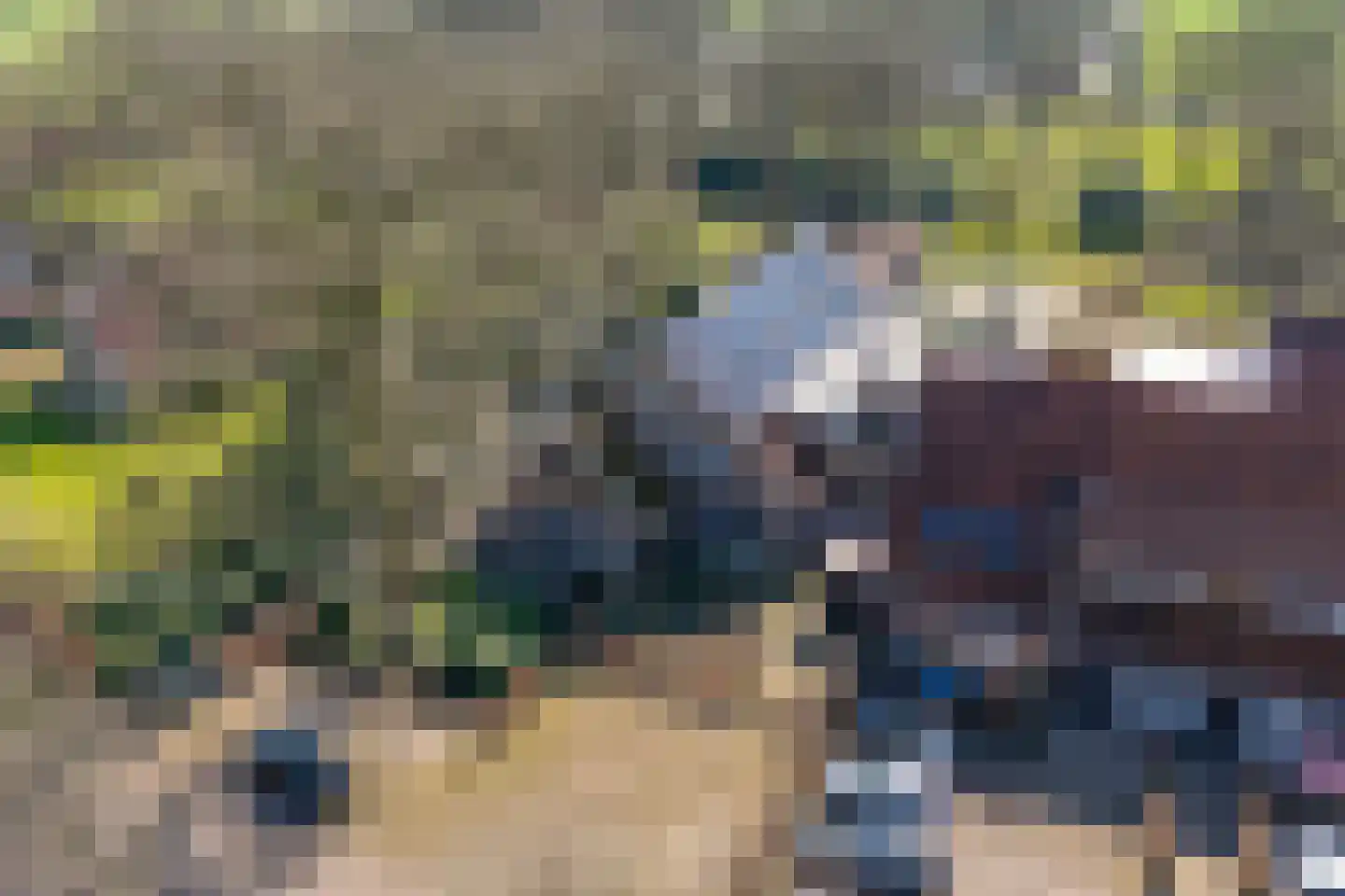 Denekamperweg 212 Vasse thumbnail 18