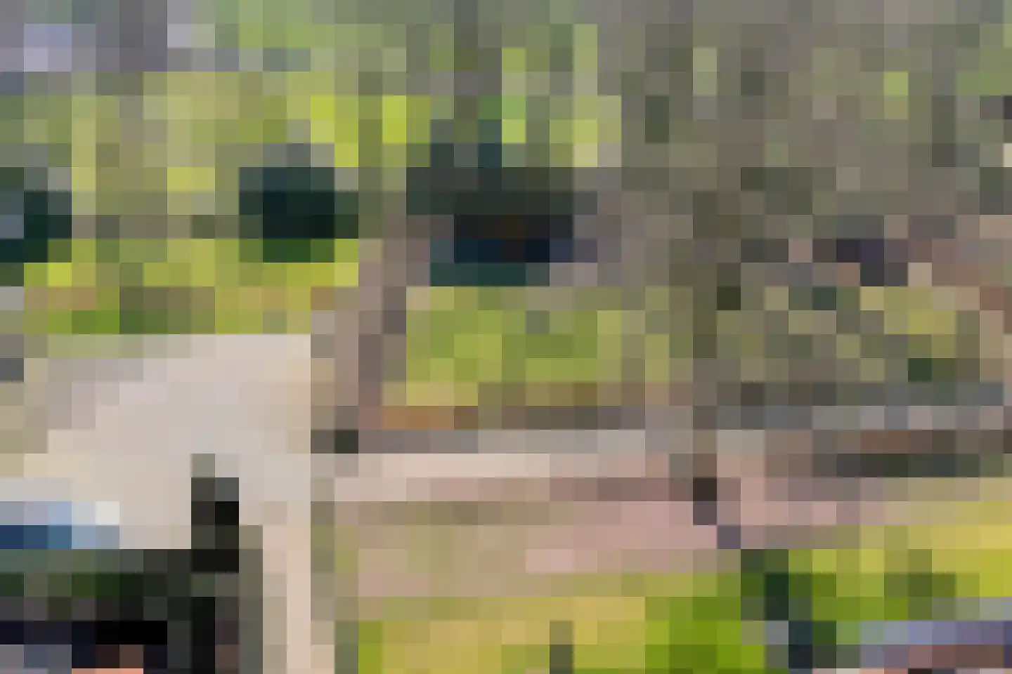 Denekamperweg 212 Vasse thumbnail 22