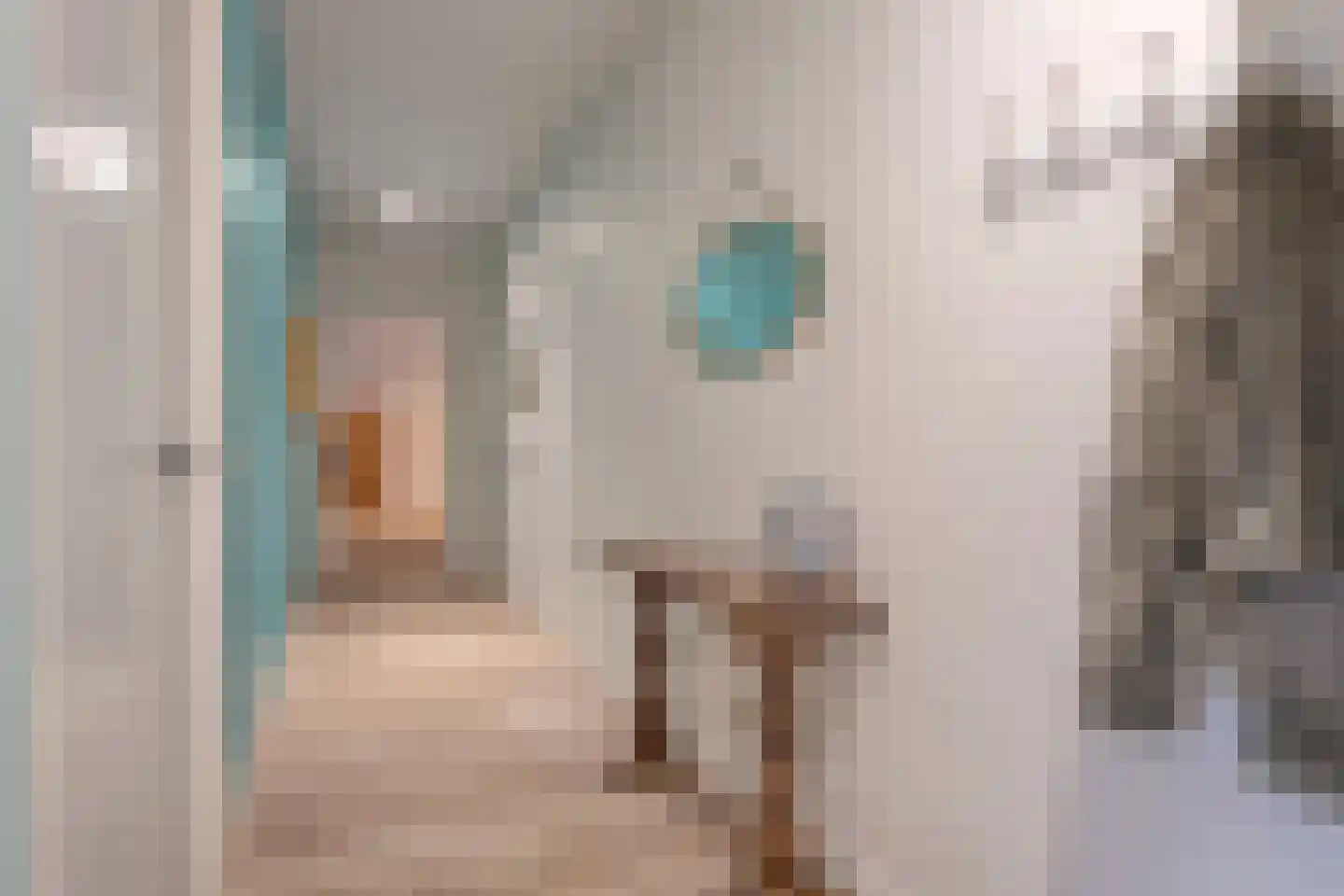 Denekamperweg 212 Vasse thumbnail 7