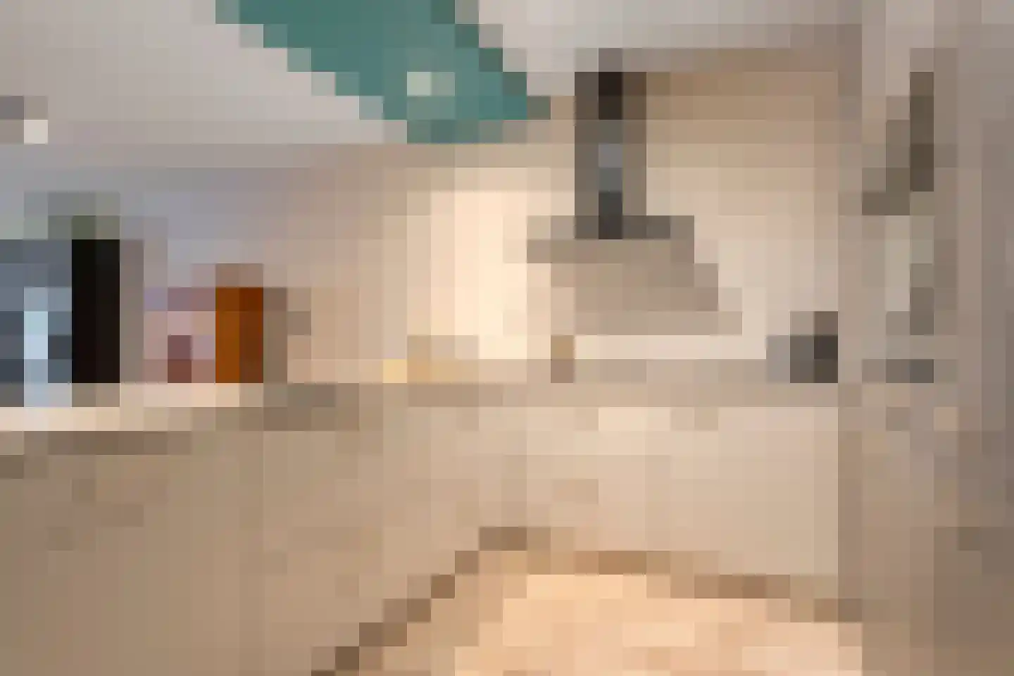 Denekamperweg 212 Vasse thumbnail 8