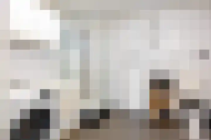 Denekamperweg 212 Vasse thumbnail 9