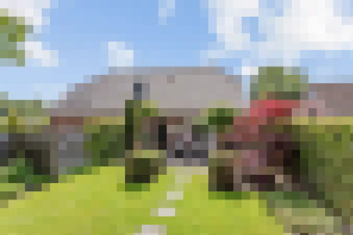 Denekamperweg 83 Tubbergen thumbnail 17