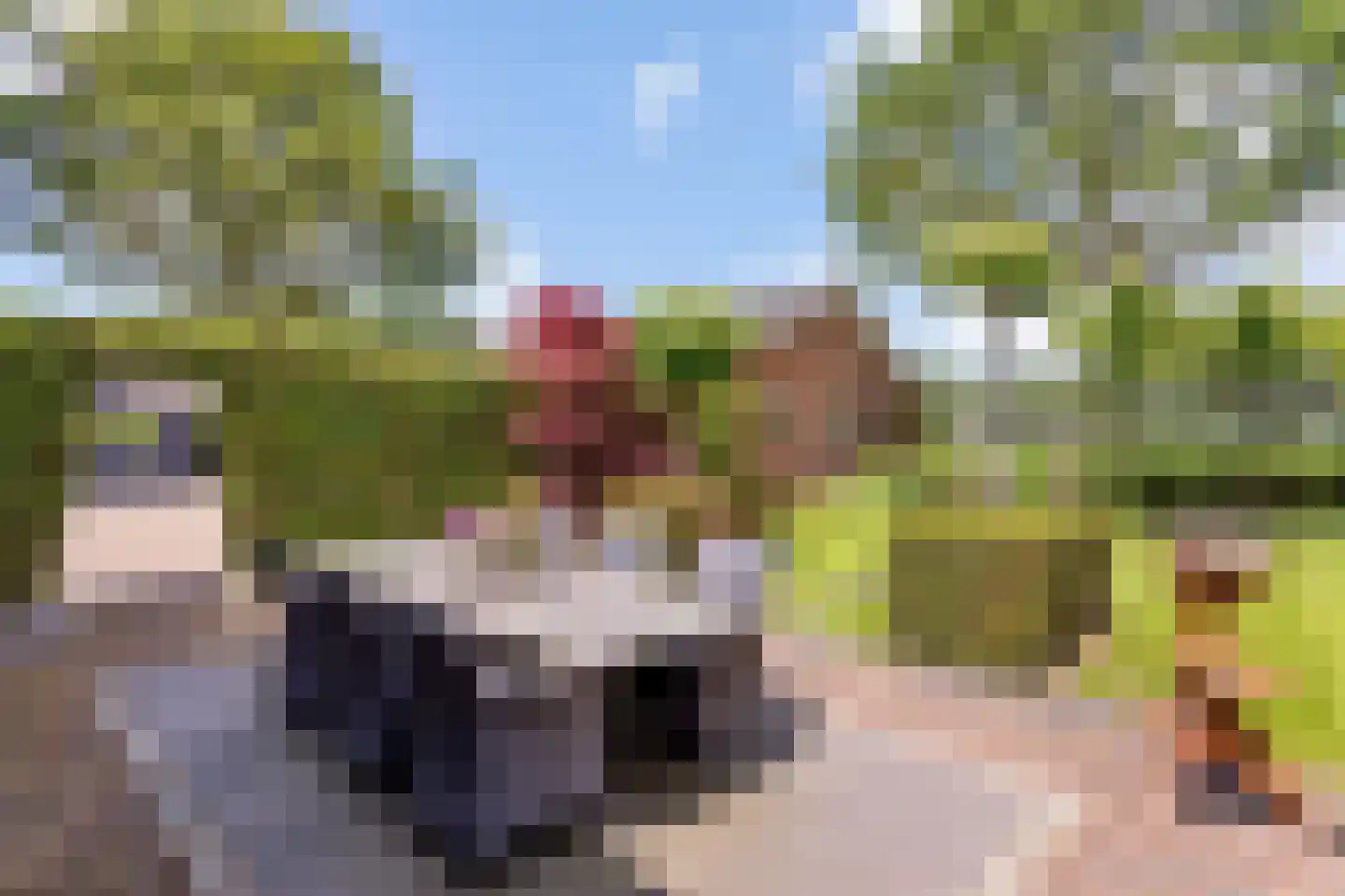 Denekamperweg 83 Tubbergen thumbnail 18