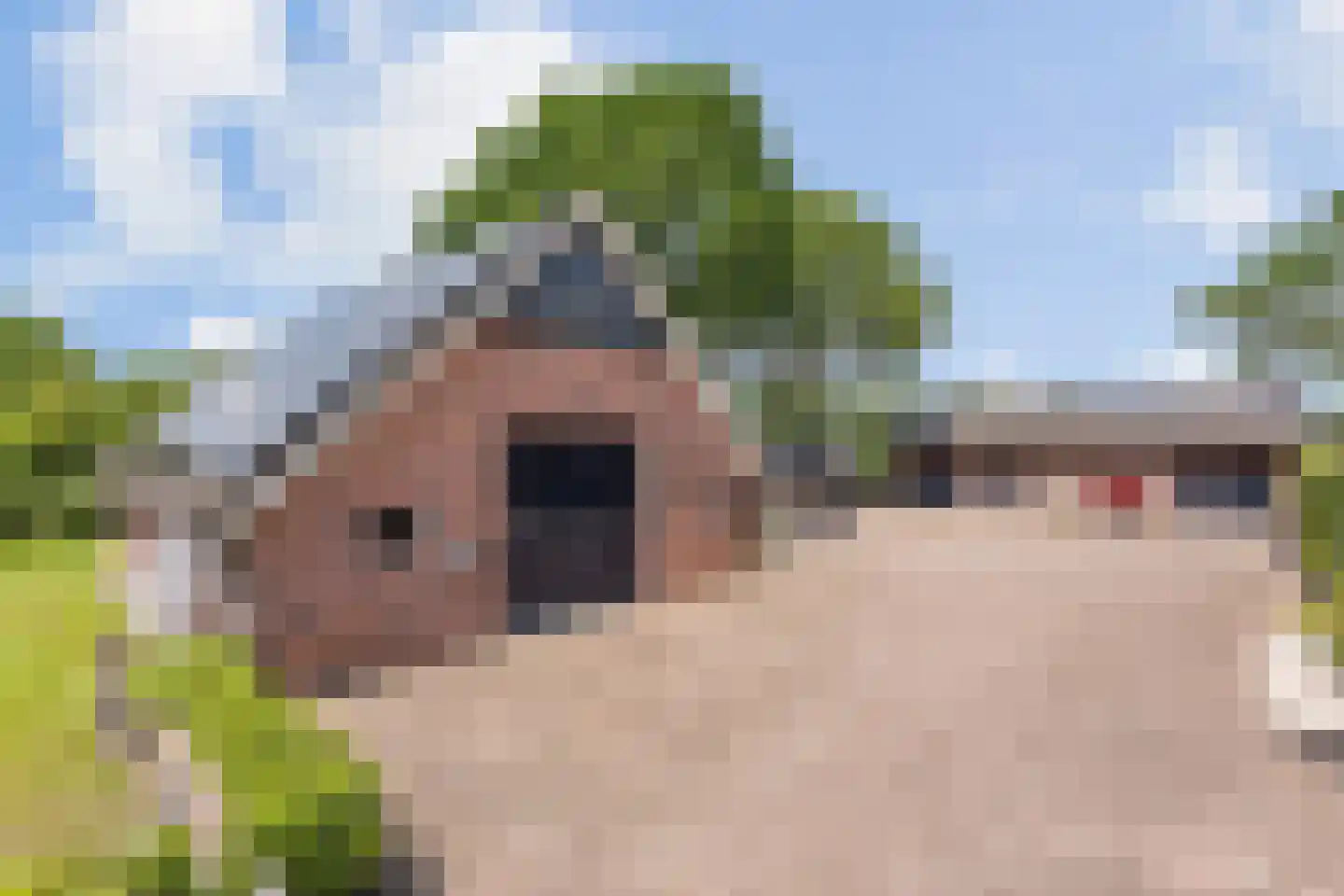 Denekamperweg 83 Tubbergen thumbnail 19