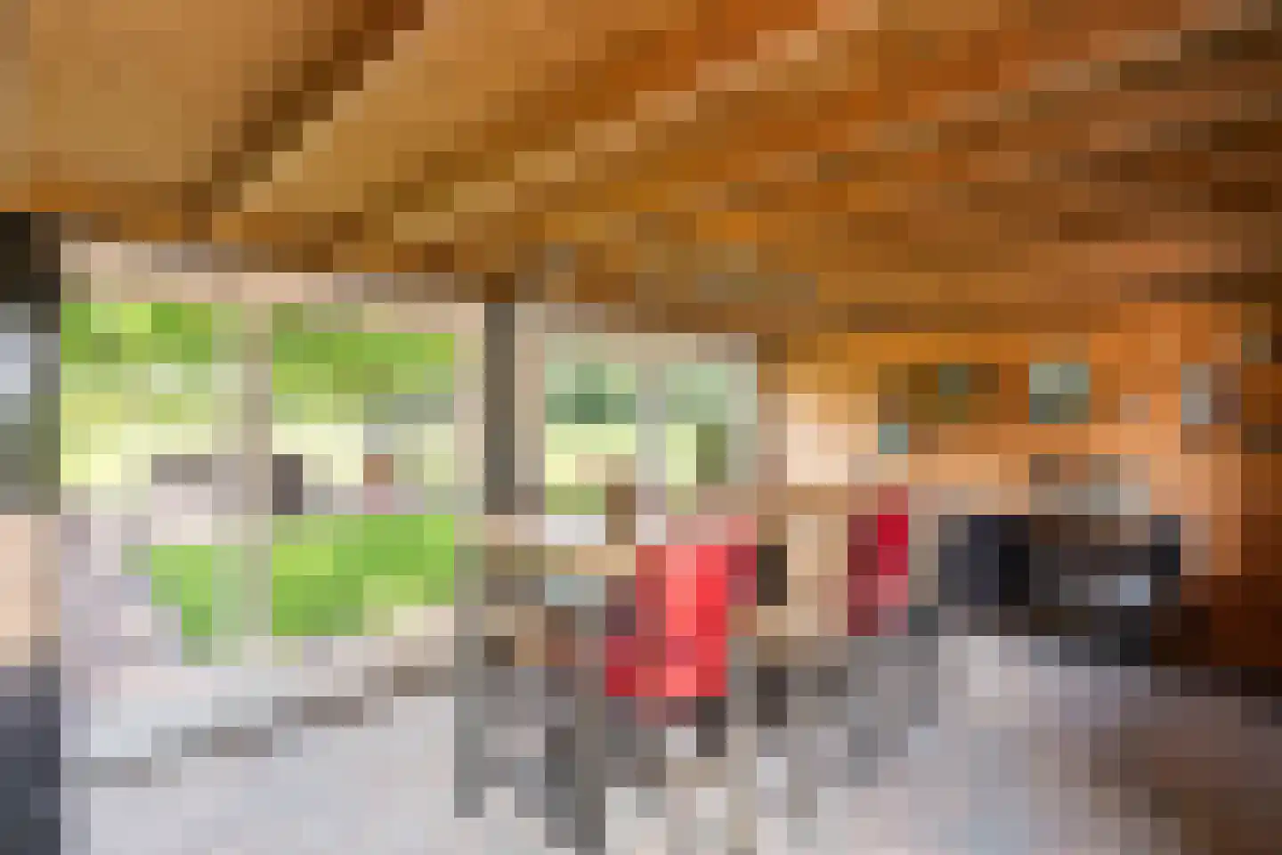 Denekamperweg 83 Tubbergen thumbnail 20