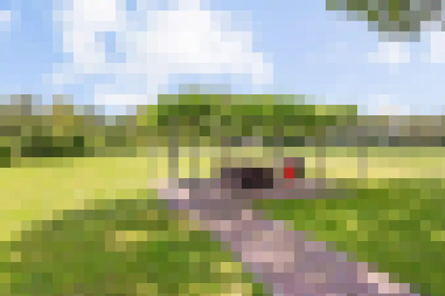 Denekamperweg 83 Tubbergen thumbnail 21