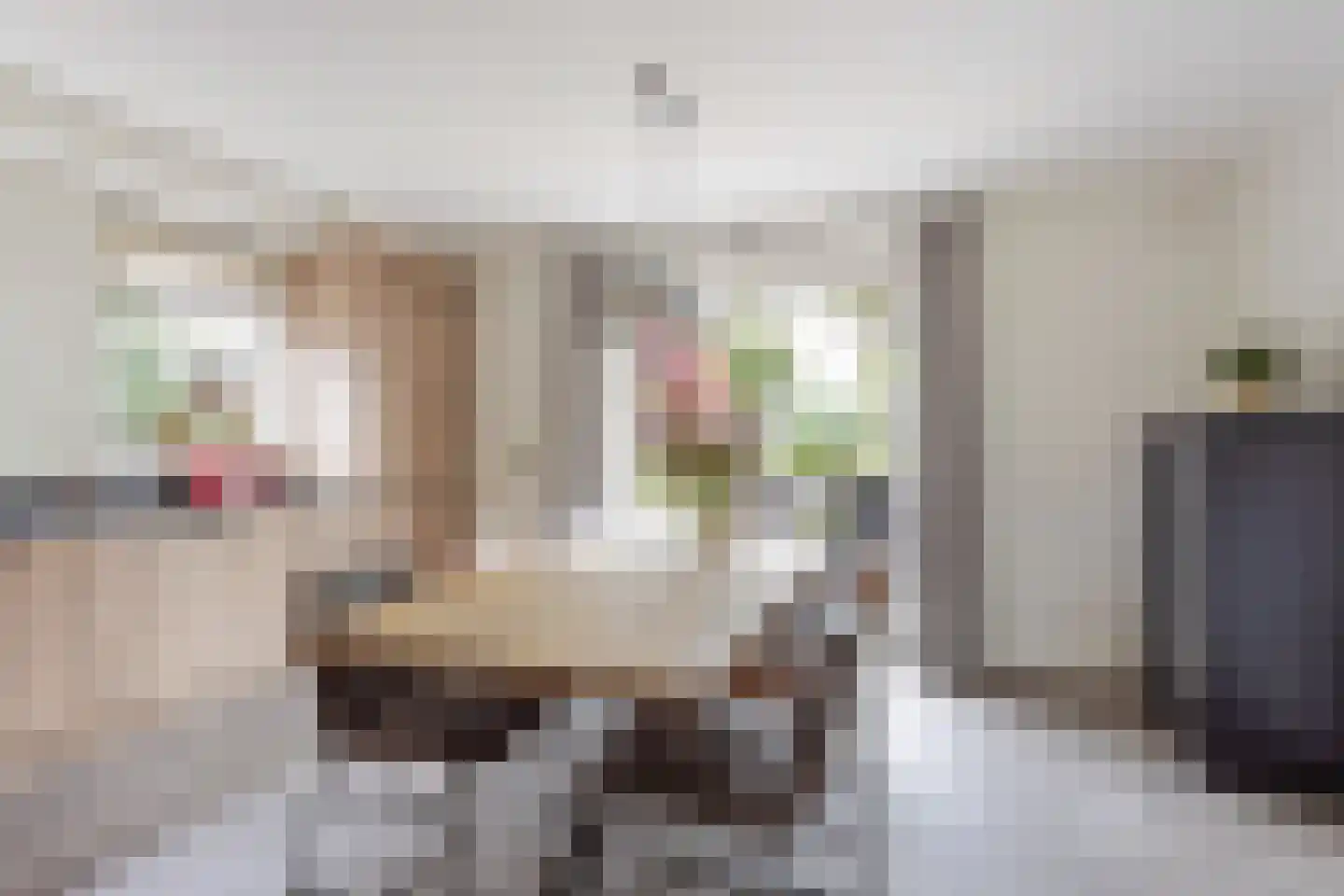Denekamperweg 83 Tubbergen thumbnail 8