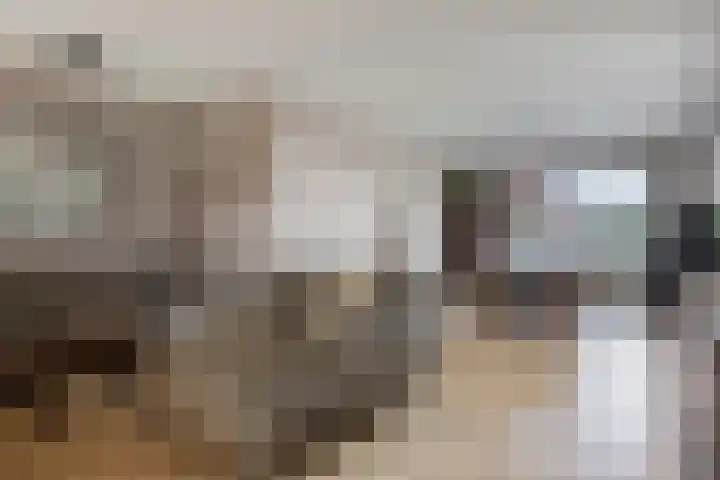 Denekampstraat 10 Tilburg thumbnail 10