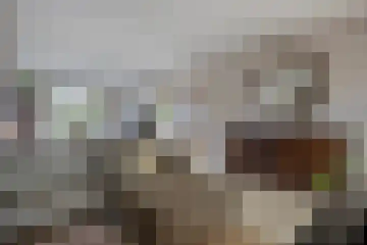Denekampstraat 10 Tilburg thumbnail 11