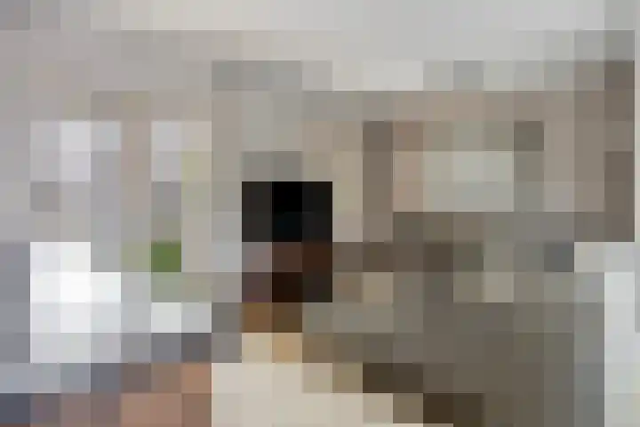 Denekampstraat 10 Tilburg thumbnail 14