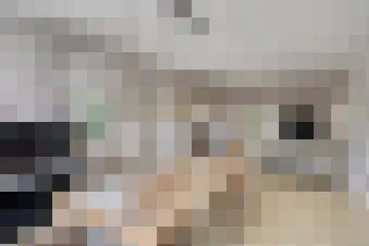 Denekampstraat 10 Tilburg thumbnail 16