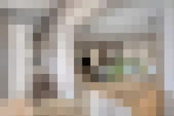 Denekampstraat 10 Tilburg thumbnail 18