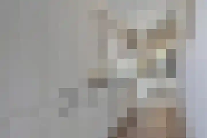 Denekampstraat 10 Tilburg thumbnail 19