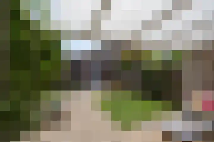 Denekampstraat 10 Tilburg thumbnail 36
