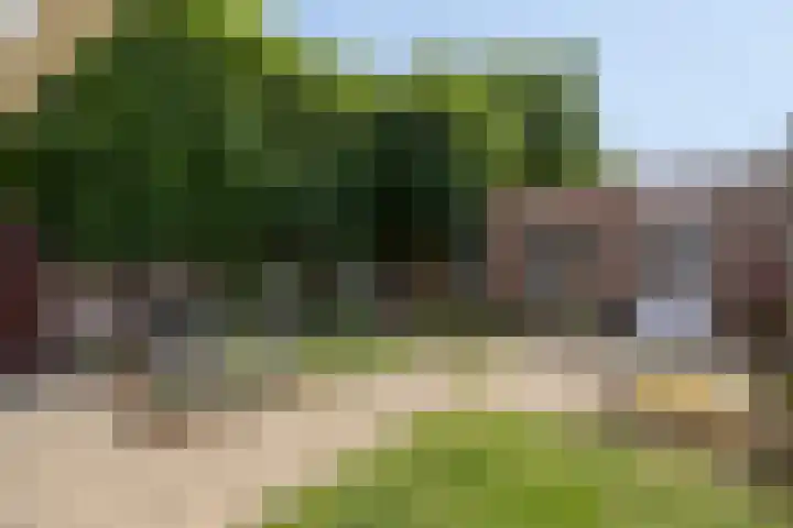 Denekampstraat 10 Tilburg thumbnail 37