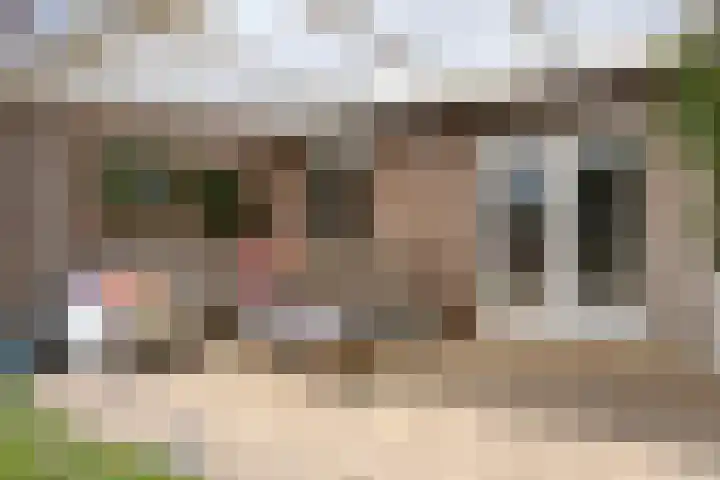 Denekampstraat 10 Tilburg thumbnail 38