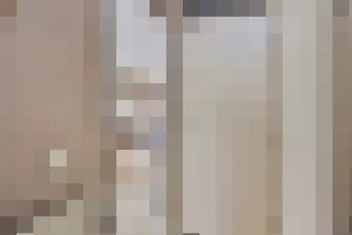 Denekampstraat 10 Tilburg thumbnail 9