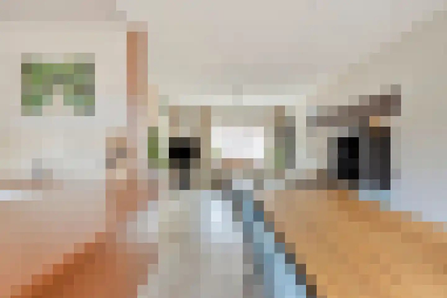 Denekampstraat 17 Tilburg thumbnail 10