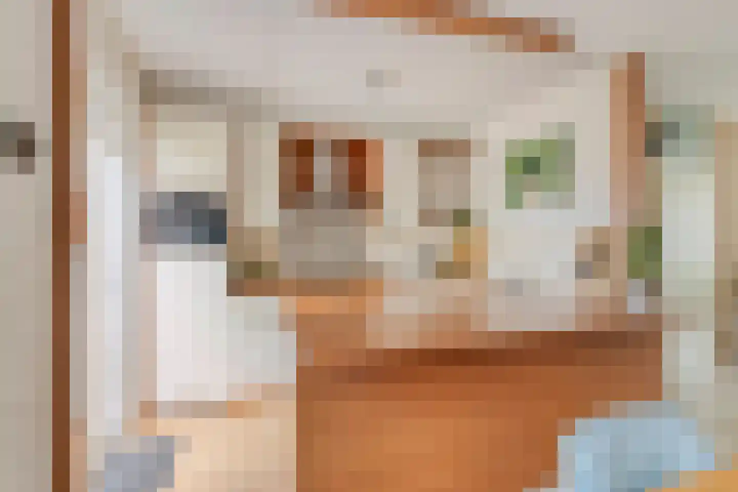 Denekampstraat 17 Tilburg thumbnail 11