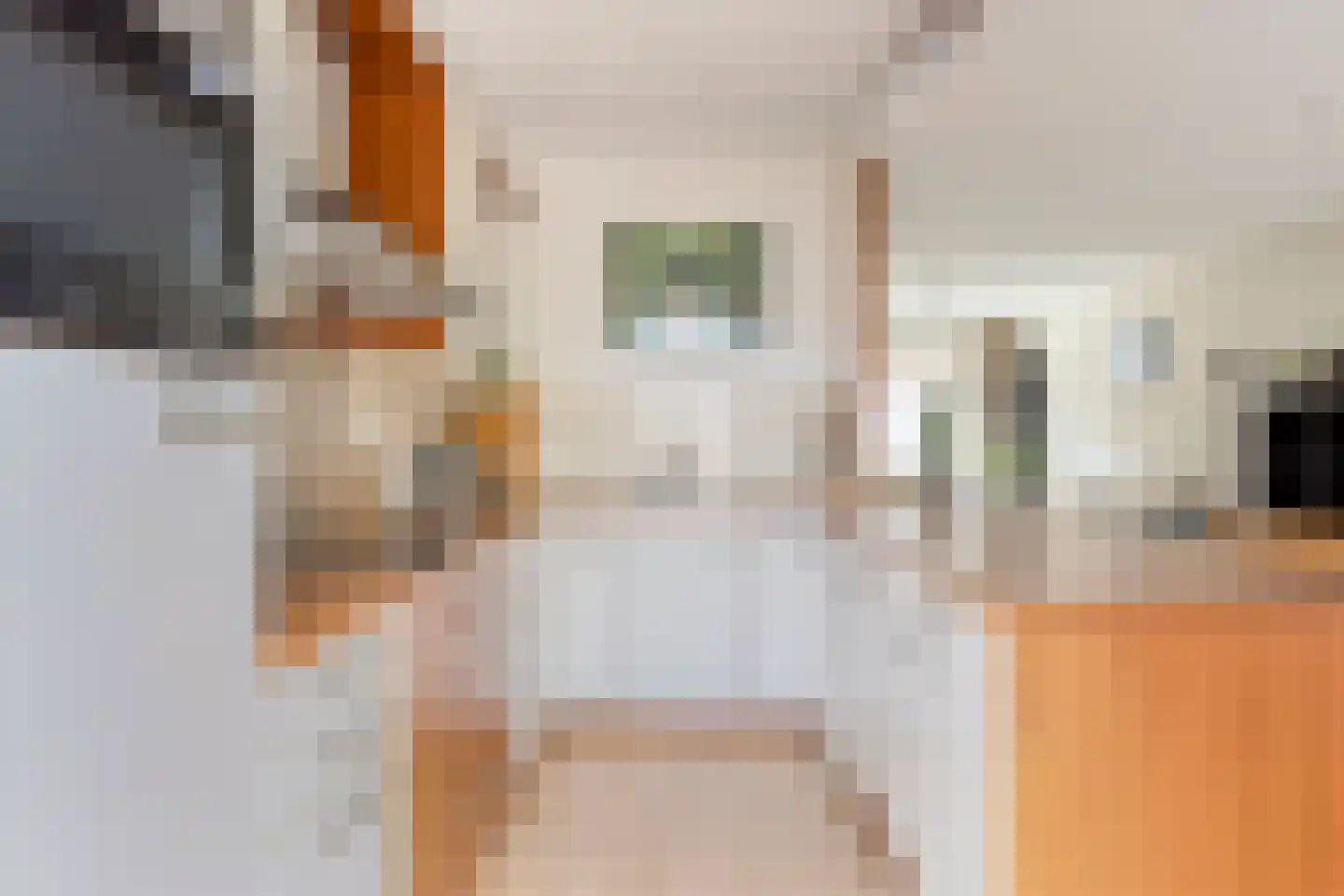 Denekampstraat 17 Tilburg thumbnail 13