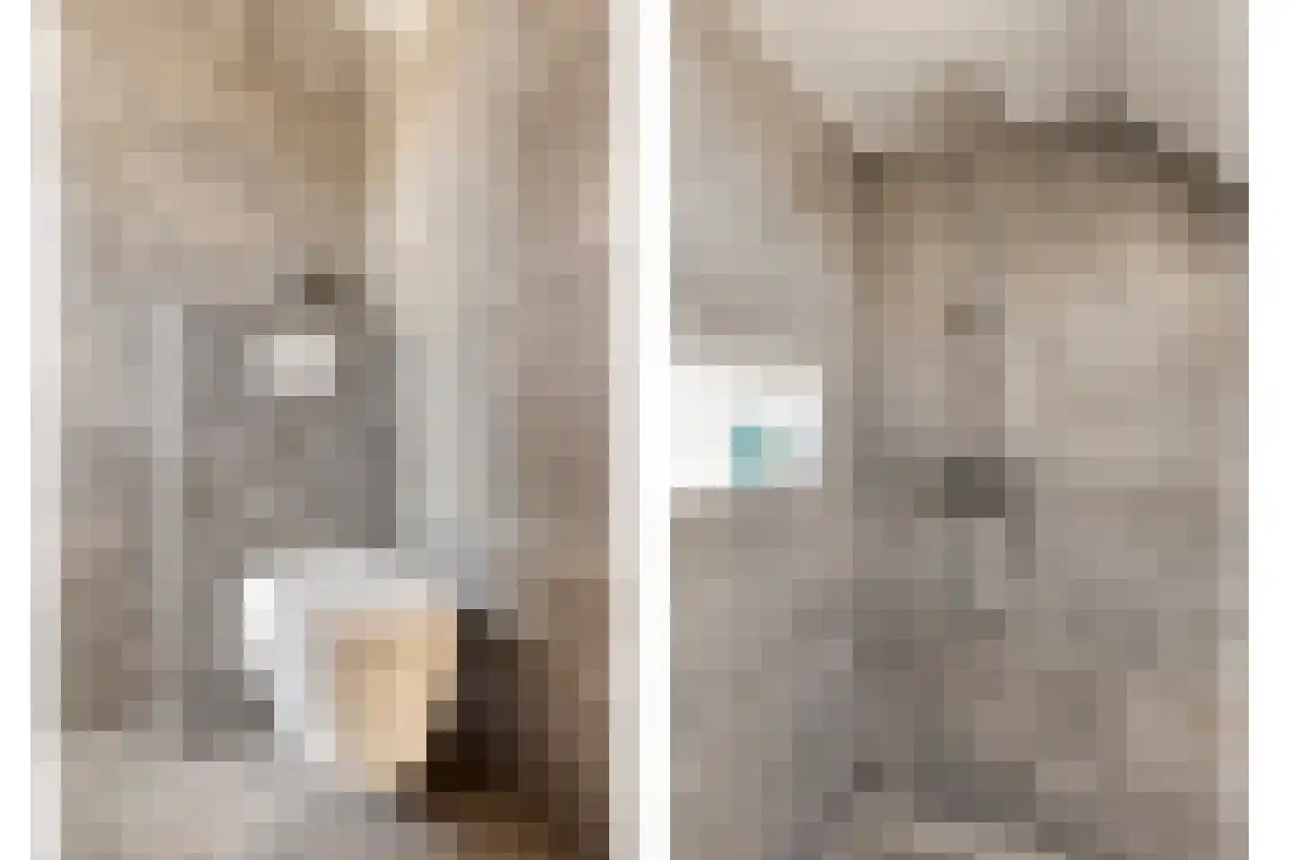 Denekampstraat 17 Tilburg thumbnail 17