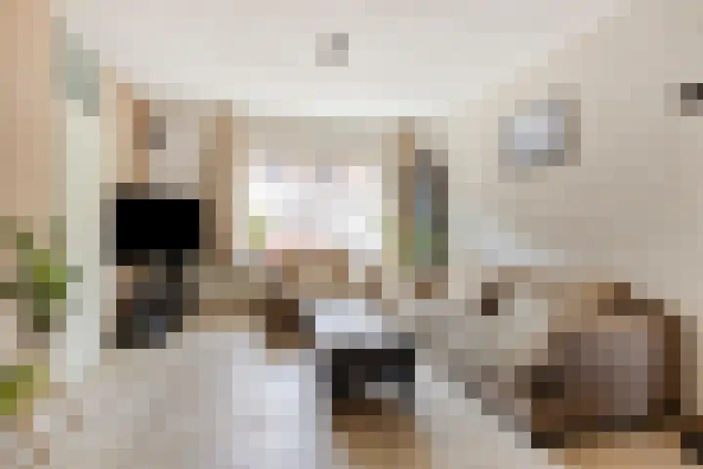 Denekampstraat 17 Tilburg thumbnail 6