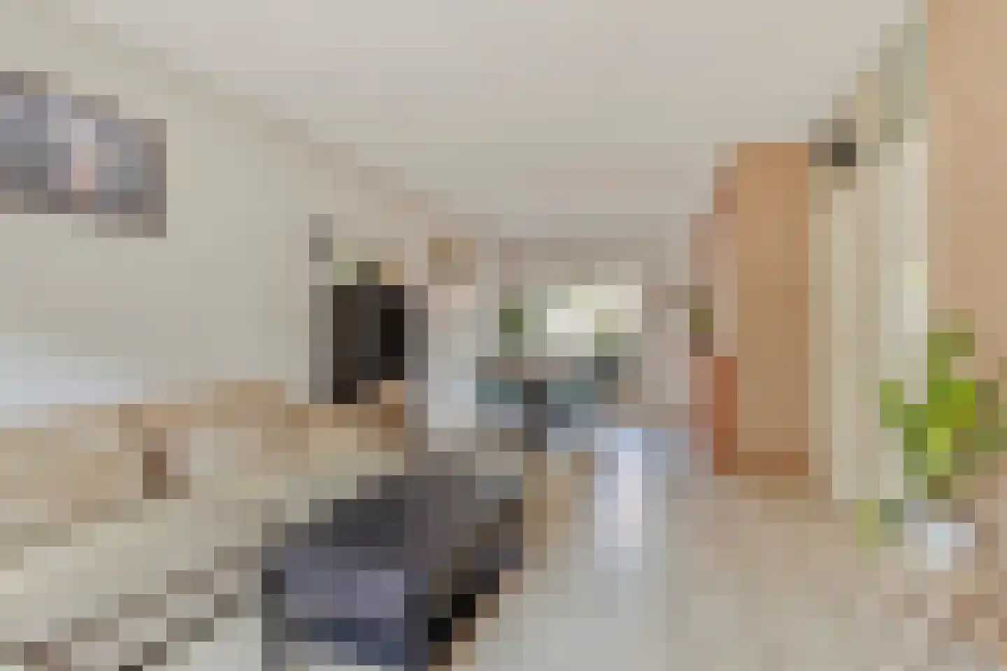 Denekampstraat 17 Tilburg thumbnail 7
