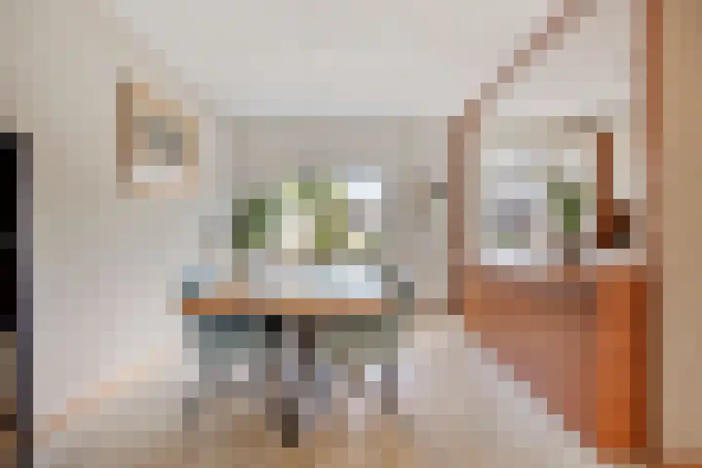 Denekampstraat 17 Tilburg thumbnail 8