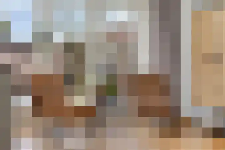 Denekampstraat 19 Tilburg thumbnail 12