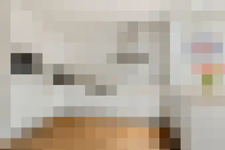 Denekampstraat 19 Tilburg thumbnail 14